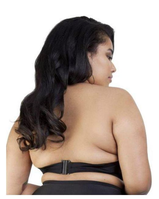 Playful Promises Black Hunter Mcgrady Mesh Insert Bikini Top