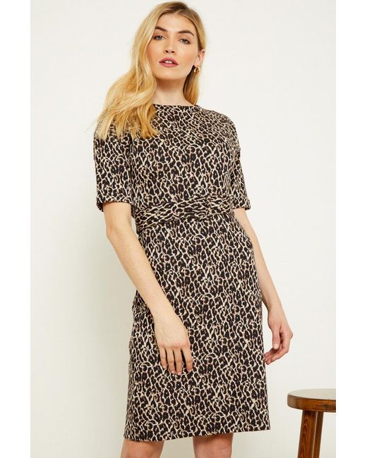 Sosandar White Leopard Jacquard Belted Wiggle Dress