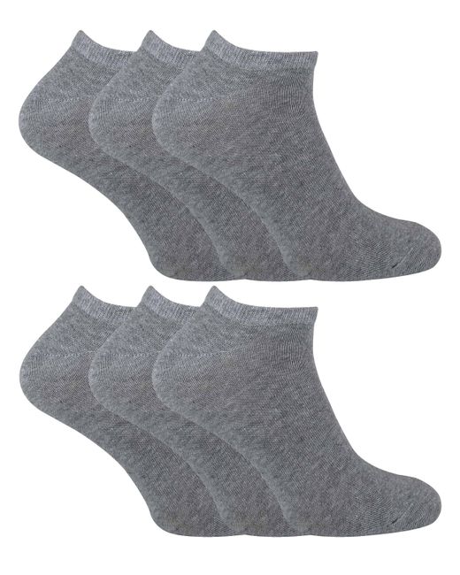 Sock Snob Gray 6 Pack Cotton Low Cut Quarter Gym Trainer Socks for men