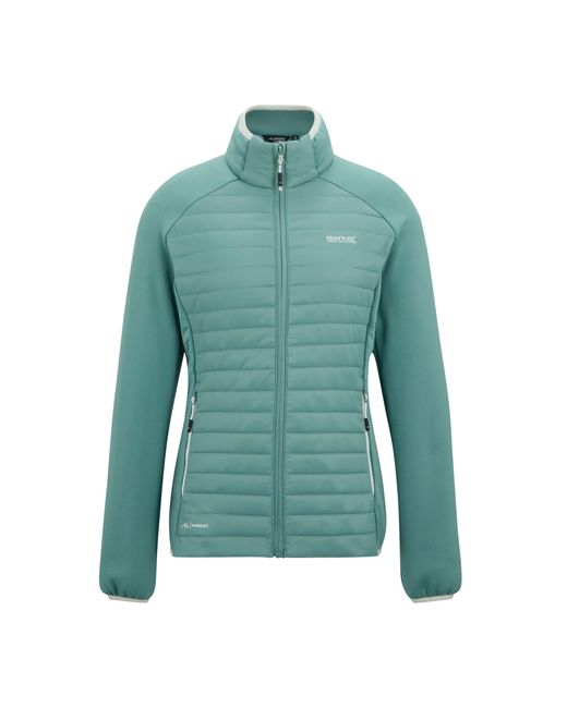 Regatta Green Ladies Clumber Hybrid Jacket (Ivy Moss)