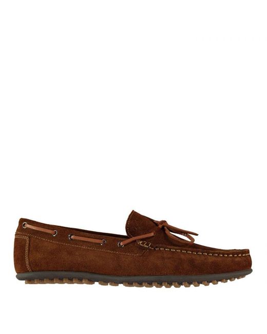 Firetrap Brown Hemsworth Slip On Shoes for men