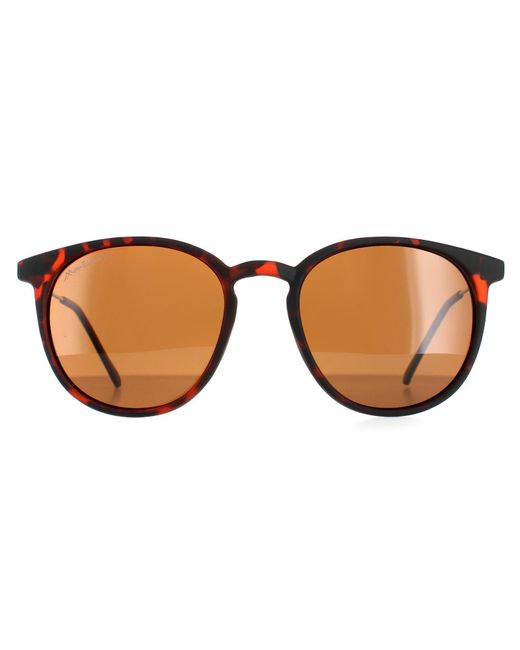 Montana Brown Round Havana Rubbertouch Polarized Mp33 Sunglasses