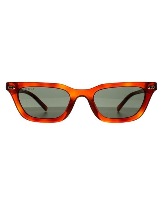 Gucci Brown Sunglasses