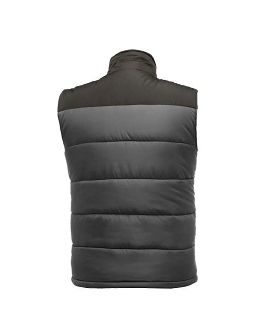 Regatta Gray Standout Altoona Insulated Bodywarmer Jacket (Seal/ for men