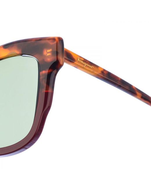 Ferragamo Brown Sf886S Cat-Eye Acetate Sunglasses for men