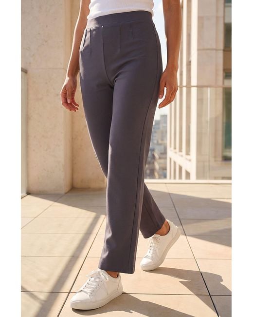 Roman Brown Petite Straight Leg Ponte Stretch Trouser
