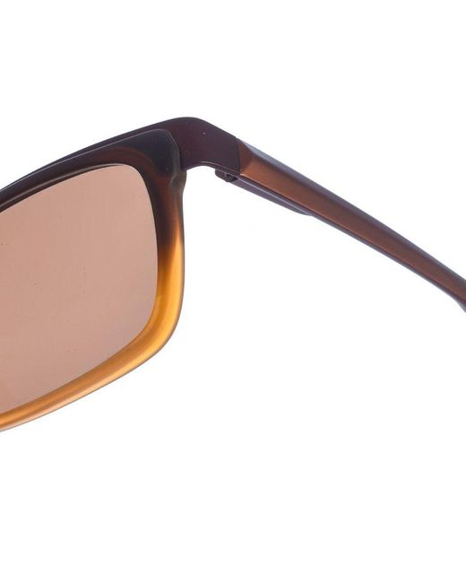 Zen Brown Z408 Square Shape Acetate And Metal Sunglasses