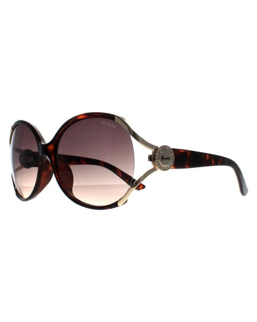 Guess Brown Butterfly Dark Havana Gradient Gf6099