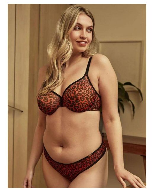 Gossard Brown Glossies Leopard Thong