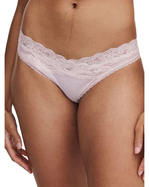 Passionata Brown Brooklyn Tanga Brief