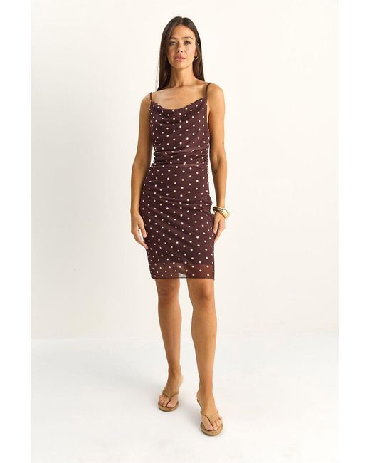 Bianco Lucci Red Polka Dot Bodycon Midi Dress With Cowl Neck