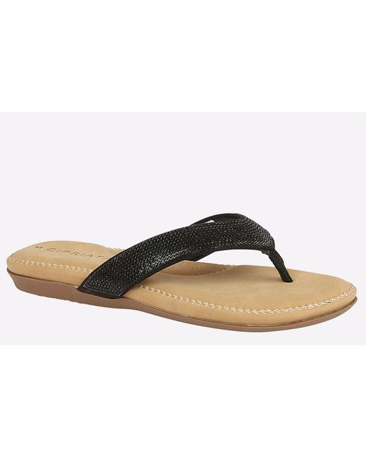 Cipriata Brown Alcee Diamante