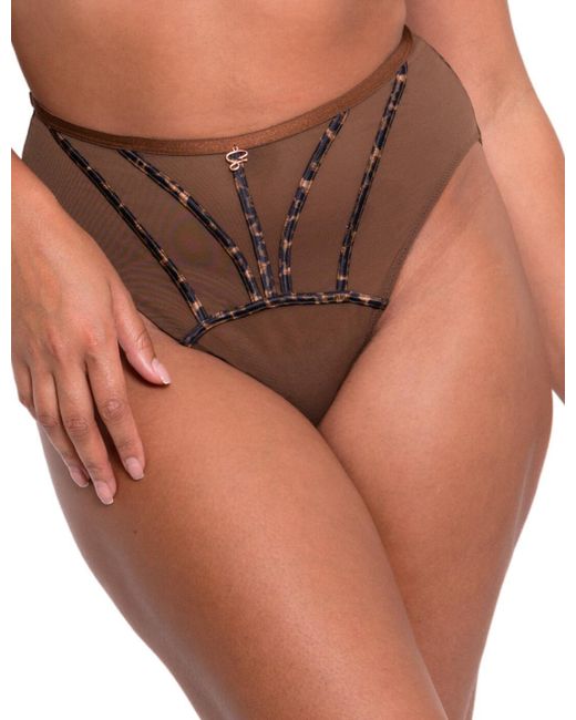 Curvy Kate Brown Senses High Waisted Brief