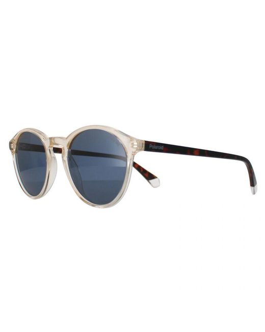 Polaroid Blue Round Polarized Sunglasses for men