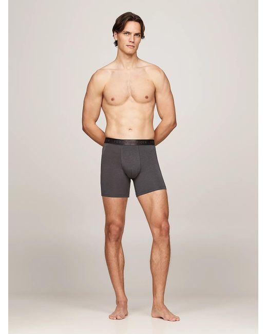 Tommy Hilfiger Natural Everyday Luxe 3 -Pack Boxer Briefs Multicoloured for men