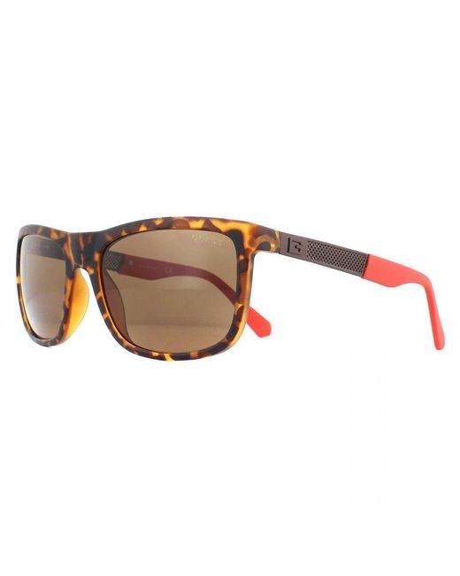 Guess Brown Rectangle Dark Havana Polarized Sunglasses for men