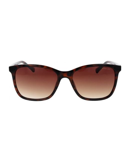 Radley Brown Rds 6563 55 102 Sunglasses