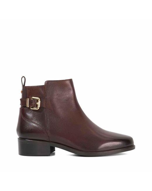 Dune Brown Ladies Padri