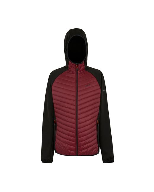 Regatta Red Andreson Hybrid Jacket (Dark/ for men
