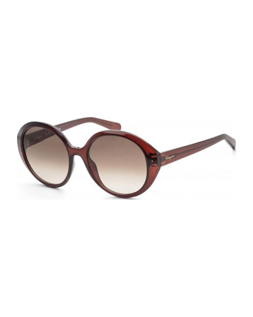 Ferragamo Brown Sf1067S-210 Sf1067S 57 210 Fashion Sunglasses