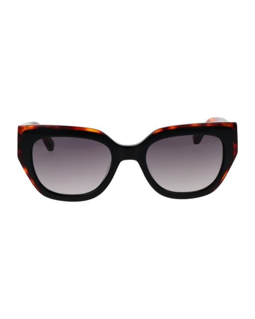 Ted Baker Brown Tb1757 53001 53 001 Sunglasses