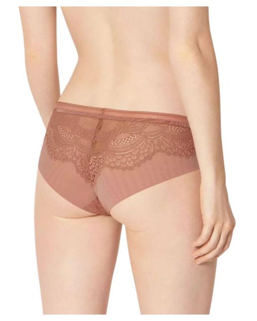 Triumph Natural Darling Spotlight Brazilian Rust