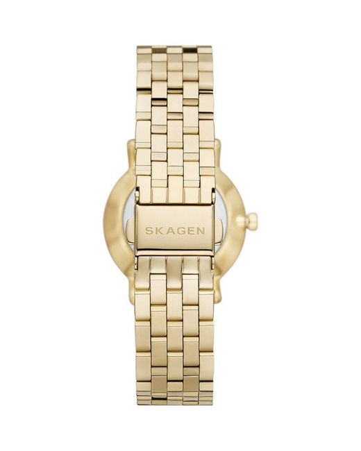 Skagen Metallic Kuppel Lille Watch Skw3102 Stainless Steel (Archived)