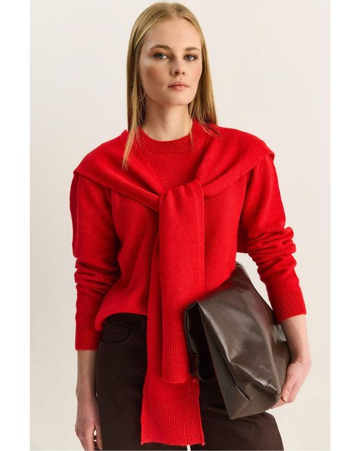 Bianco Lucci Red Regular Fit Crew Neck Ribbed Sweater