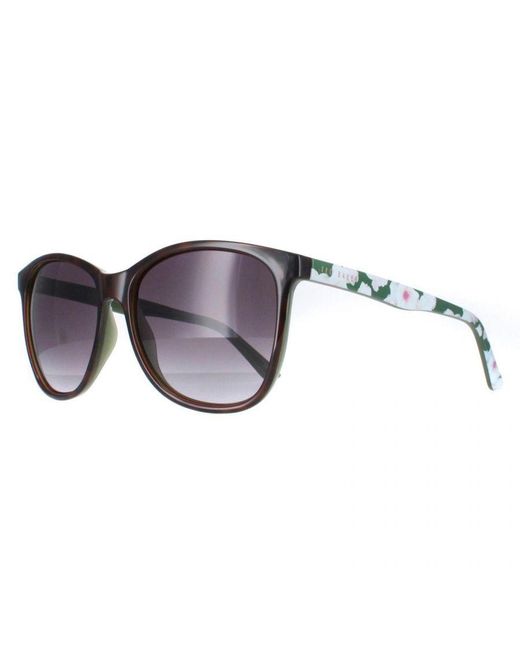 Ted Baker Brown Oval Tortoiseshell Gradient Tb1496 Alva