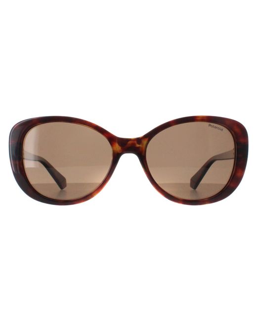 Polaroid Brown Butterfly Damen Havana Bronze Polarisiert Pld 4154/S/X