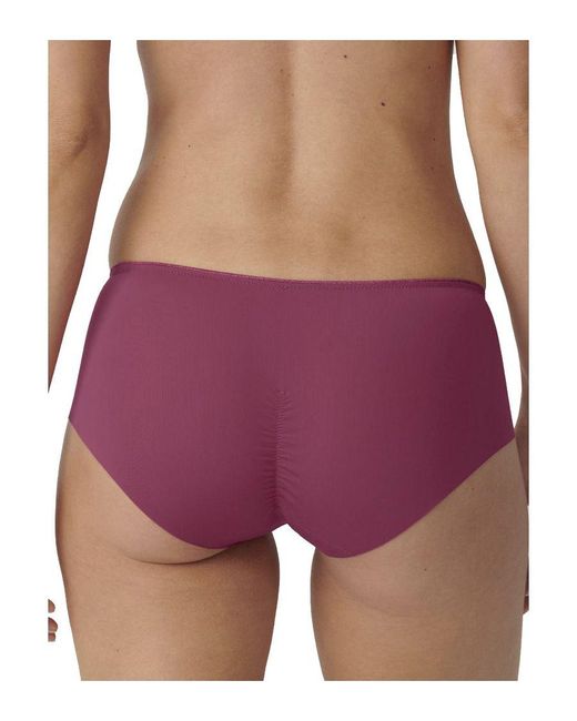 Triumph Purple Essential Minimizer Hipster