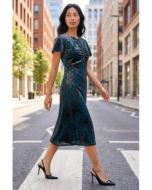 Roman Blue Petite Devore Midi Dress