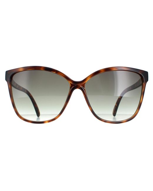 Ted Baker Brown Sunglasses Tb1400 Kiara 122 Tortoiseshell Gradient