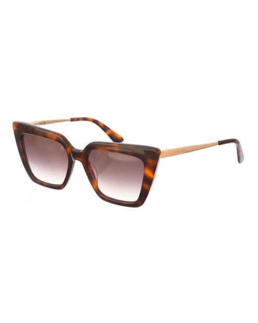 Calvin Klein Brown Butterfly-Shaped Acetate Sunglasses Ck22516S