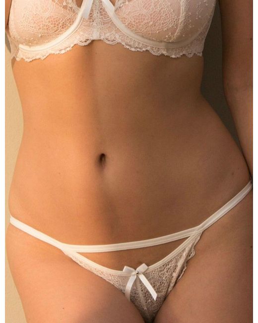 Pour Moi Brown Obsession Tanga Brief
