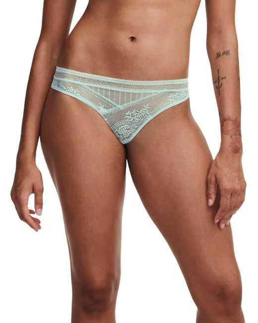 Passionata Green Maddie Tanga