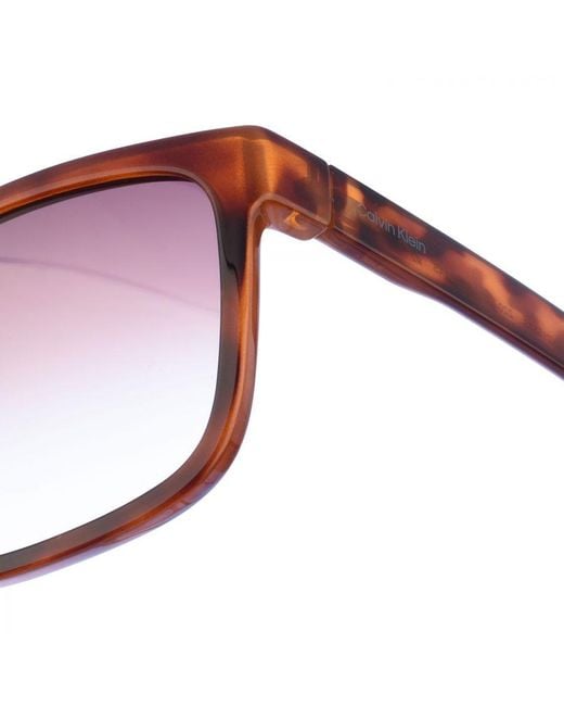 Calvin Klein Red Square-Shaped Acetate Sunglasses Ck21531S for men