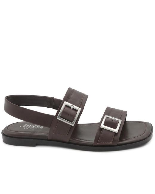 Jones Bootmaker Brown Haniya Leather Dual Buckle Fasten Sandals