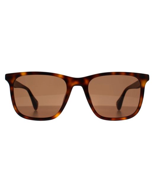 Ted Baker Brown Square Gloss Dark Tortoise Tb1724 Jacobe for men