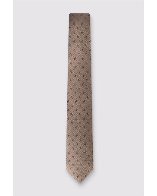 Alexandre Silver Label Multicolor Paisley Tie for men