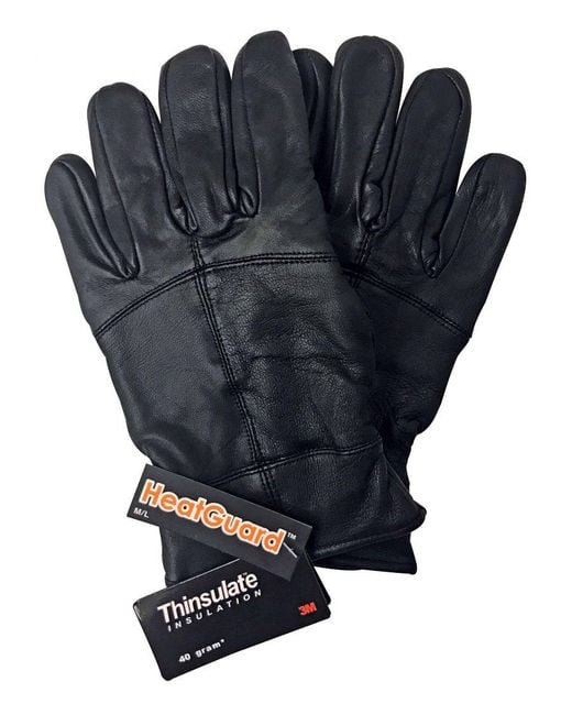 Thinsulate Blue 3M 40 Gram Thermal Insulated Winter Leather Gloves for men