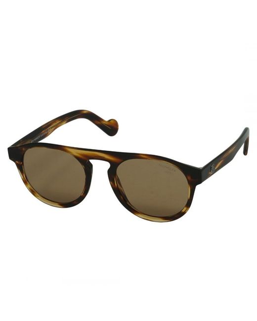Moncler Brown Ml0073 50E Sunglasses for men