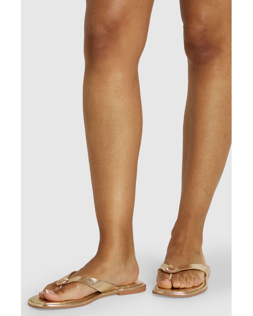 Boohoo Brown Shell Trim Flip Flops