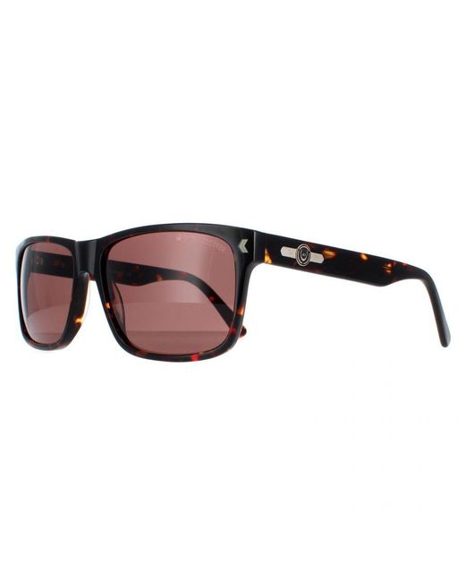 Duck and Cover Brown Sunglasses Dcs026 C2 Havana for men