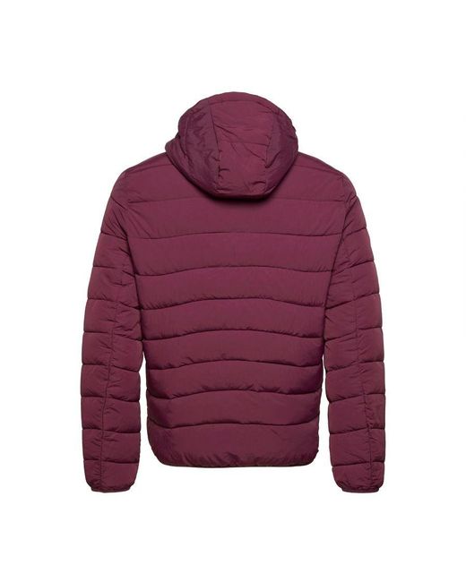 Lyle & Scott Purple Lightweight Puffer Jacket for men