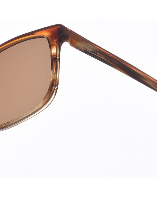 Zen Brown Rectangular Shaped Acetate Sunglasses Z445 for men