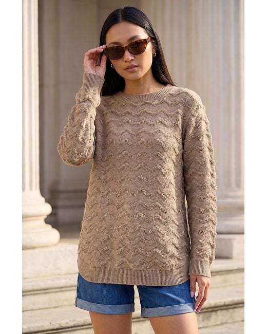 Roman Brown Shimmer Curved Hem Jumper