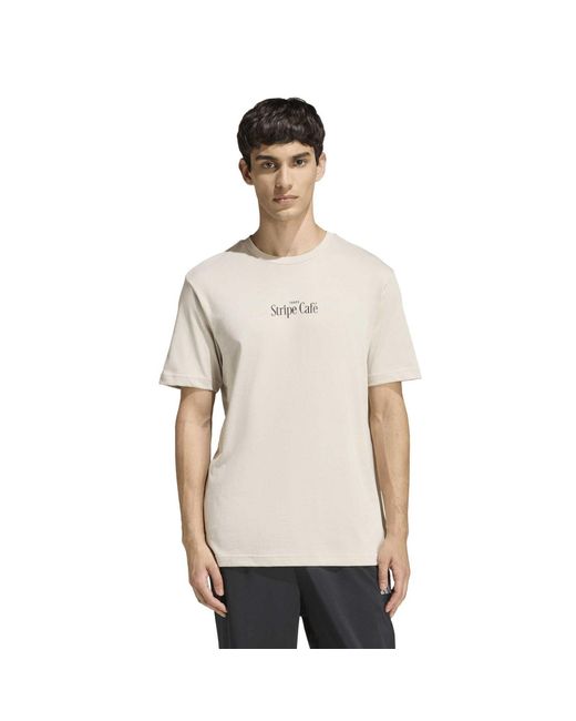 Adidas White M Donut Box T for men