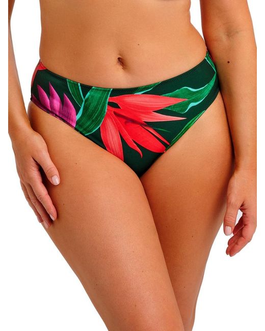 Fantasie Green Pichola Bikini Brief