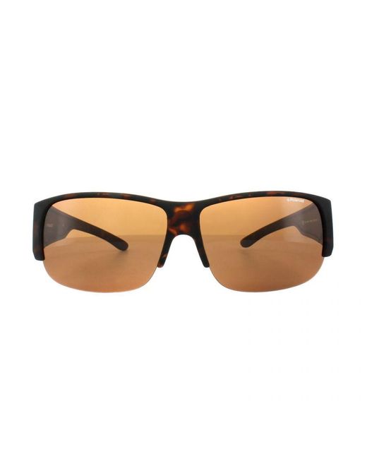 Polaroid Brown Suncovers Semi Rimless Havana Polarized Sunglasses